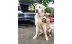 Kärcher Mobile Outdoor Cleaner OC 3 Akku-Niedrigdruckreiniger Inklusive Pet Box 8 Kärcher Mobile Outdoor Cleaner OC 3 Akku-Niedrigdruckreiniger Inklusive Pet Box -Fiamma Verkäufe 284609 2413534