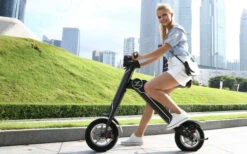 Lehe K1 + E-Mofa Olivgrün -Fiamma Verkäufe 286005 2064387