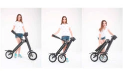 Lehe K1 + E-Mofa Weinrot -Fiamma Verkäufe 286107 2072004 2