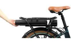 Blaupunkt Franzi Faltbares E-Bike -Fiamma Verkäufe 306066 2453263