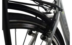 LLobe SilverLine City-E-Bike 28 Zoll 10 Ah Silber -Fiamma Verkäufe 454685 3149429