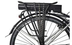 LLobe SilverLine City-E-Bike 28 Zoll 10 Ah Silber -Fiamma Verkäufe 454784 3149435