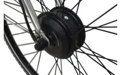 LLobe SilverLine City-E-Bike 28 Zoll 10 Ah Silber -Fiamma Verkäufe 454997 3149447