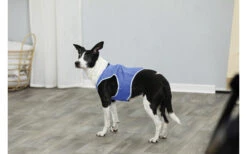 TRIXIE Kühlweste XS 20 Cm Blau -Fiamma Verkäufe 524415 3395657