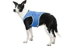 TRIXIE Kühlweste XS 20 Cm Blau -Fiamma Verkäufe 524418 3395663