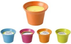 Brunner Citronella Kerze S -Fiamma Verkäufe 537775 3649916