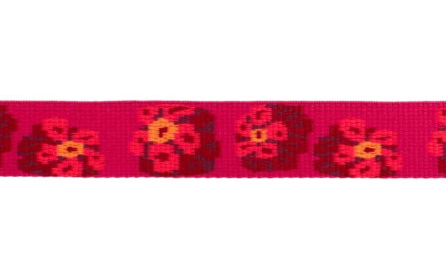 Ruffwear Flat Out Hundehalsband 28 - 36 Cm Alpenglow Burst 3 Ruffwear Flat Out Hundehalsband 28 - 36 Cm Alpenglow Burst