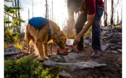 Ruffwear Quencher Hundenapf Für Unterwegs Fired Brick S -Fiamma Verkäufe 592579 4304783