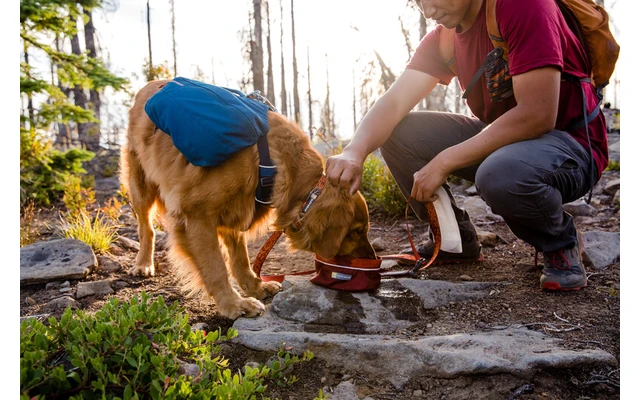 Ruffwear Quencher Hundenapf Für Unterwegs Turnalo Teal M 8 Ruffwear Quencher Hundenapf Für Unterwegs Turnalo Teal M – Bild 6