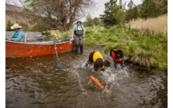 Ruffwear Float Coat Schwimmweste Für Hunde Red Sumac XS 14 Ruffwear Float Coat Schwimmweste Für Hunde Red Sumac XS -Fiamma Verkäufe 592983 4307363