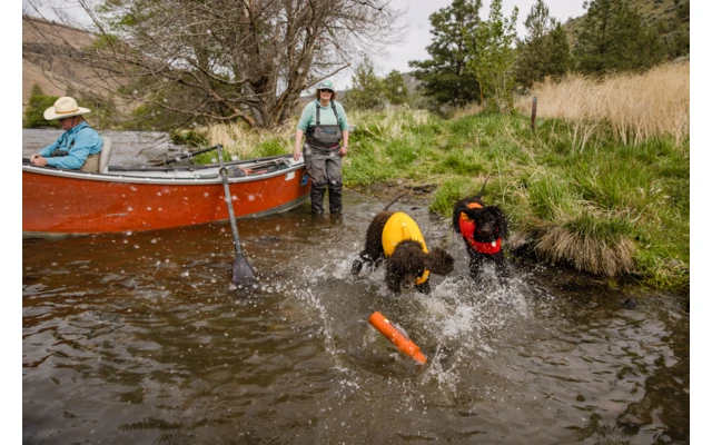 Ruffwear Float Coat Schwimmweste Für Hunde Red Sumac XS 8 Ruffwear Float Coat Schwimmweste Für Hunde Red Sumac XS – Bild 6