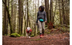 Ruffwear Home Trail Hüfttasche Aurora Teal -Fiamma Verkäufe 593187 4307095