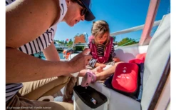 Pharmavoyage Biovectrol Tropique Insektenspray 50 % Diethyltoluamid 75 Ml -Fiamma Verkäufe 605879 4459359