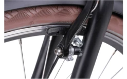 Llobe Rosendaal 3 Lady City E-Bike 28 Zoll Schwarz 13 Ah -Fiamma Verkäufe 661476 4604229