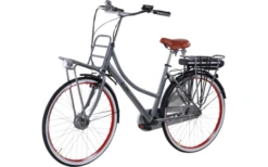Llobe Rosendaal 3 Lady City E-Bike 28 Zoll Grau 13 Ah -Fiamma Verkäufe 663522 4604361