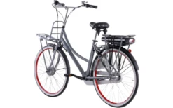 Llobe Rosendaal 3 Lady City E-Bike 28 Zoll Grau 13 Ah -Fiamma Verkäufe 663525 4604367