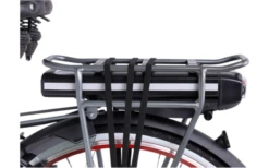 Llobe Rosendaal 3 Lady City E-Bike 28 Zoll Grau 13 Ah -Fiamma Verkäufe 663528 4604373