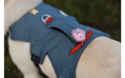 Ruffwear Web Master Hundegeschirr Mit Handschlaufe Slate Blue XXS -Fiamma Verkäufe 677523 4617048