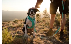 Ruffwear Front Range Hundeleine Blue Moon -Fiamma Verkäufe 677826 4626570 1