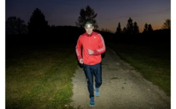 Brennenstuhl LuxPremium LED Stirnlampe 100 Lm -Fiamma Verkäufe 701120 5045477