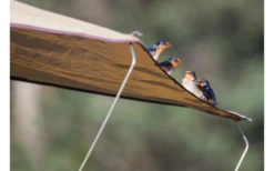 Gordigear Dachzelt Für 2 Personen Mit Staufläche 140 X 240 Cm Grün 12 Gordigear Dachzelt Für 2 Personen Mit Staufläche 140 X 240 Cm Grün -Fiamma Verkäufe 737312 4968290