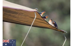 Gordigear Dachzelt Plus Für 3 Personen Mit Staufläche 165 X 320 Cm Grün -Fiamma Verkäufe 737351 4968530