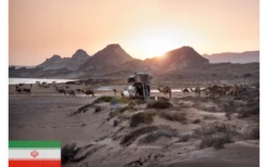 Gordigear Dachzelt 180 Plus Für 4 Personen Mit Vorzelt 180 X 320 Cm Grün 13 Gordigear Dachzelt 180 Plus Für 4 Personen Mit Vorzelt 180 X 320 Cm Grün -Fiamma Verkäufe 737411 4968803