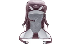 Deuter AC Lite 22 SL Rucksack Graphite-shale