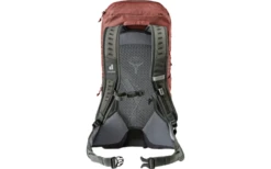 Deuter AC Lite 24 Rucksack Alpinegreen-arctic -Fiamma Verkäufe 810893 5284697