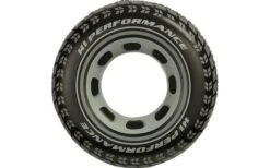 Intex Schwimmreifen Giant